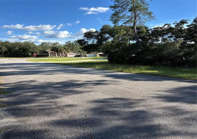 Photo 3 of Land for sale at 0 Sw 171st Street, Ocala, FL 34473 | MLS# OM733039 | Listing updated on 2026-09-30