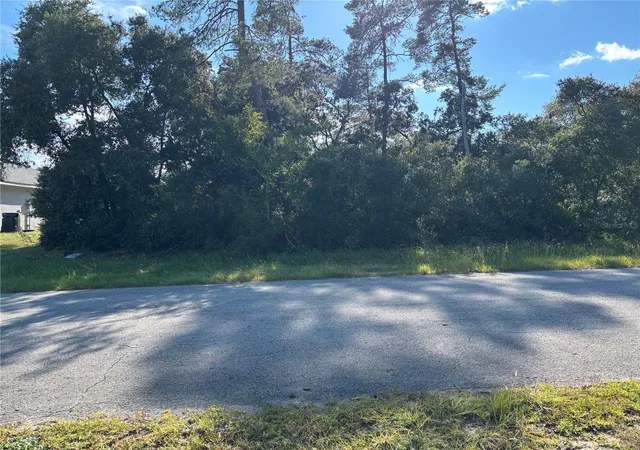 Photo 3 of Land for sale at 0 SW 171st Street, Ocala, FL 34473 | MLS# OM733039 | Listing updated on 2026-09-30
