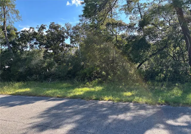 Photo 4 of Land for sale at 0 SW 171st Street, Ocala, FL 34473 | MLS# OM733039 | Listing updated on 2026-09-30