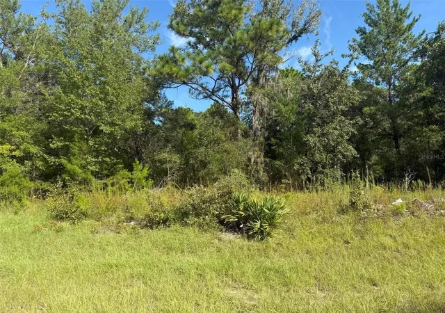 Photo 1 of Land for sale at 79th Terrace Rd, Dunnellon, FL 34432 | MLS# K4903820 | Listing updated on 2026-09-30