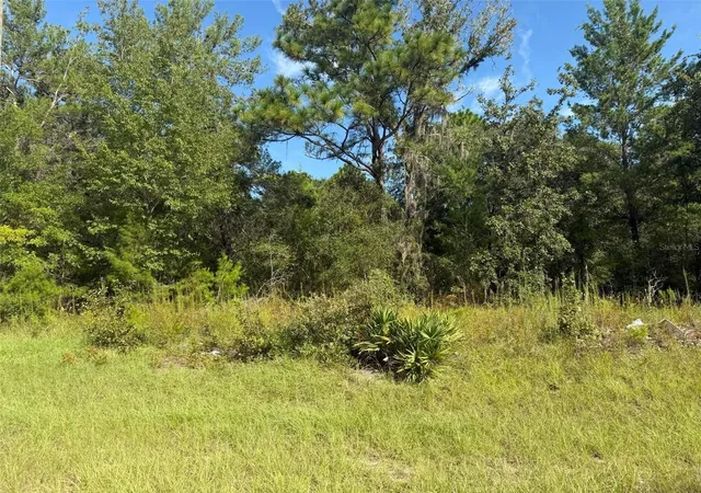 Photo 2 of Land for sale at 79th Terrace Rd, Dunnellon, FL 34432 | MLS# K4903820 | Listing updated on 2026-09-30