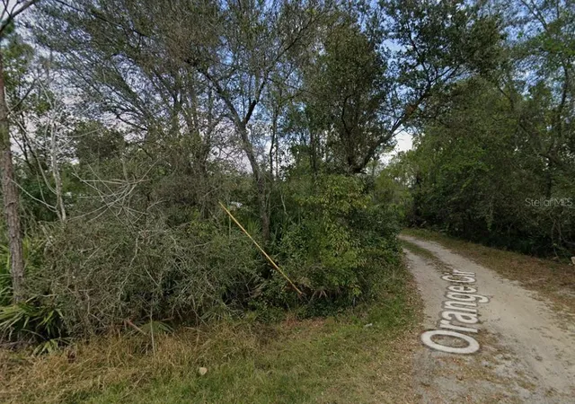 Photo 3 of Land for sale at Orange Cir, Paisley, FL 32767 | MLS# K4903821 | Listing updated on 2026-09-29