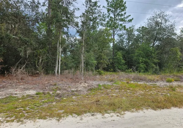 Photo 1 of Land for sale at 0000 Ne 67th Street, Bronson, FL 32621 | MLS# OM733046 | Listing updated on 2026-09-30