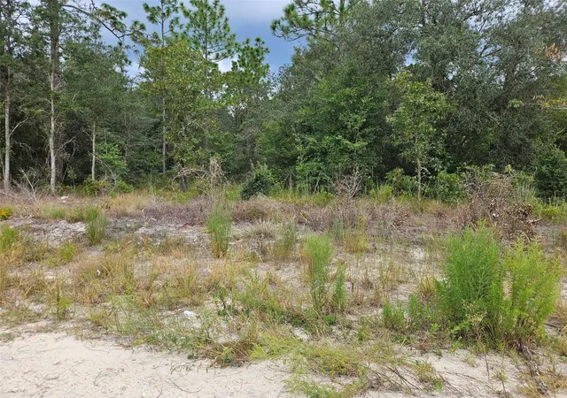 Photo 2 of Land for sale at 0000 Ne 67th Street, Bronson, FL 32621 | MLS# OM733046 | Listing updated on 2026-09-30