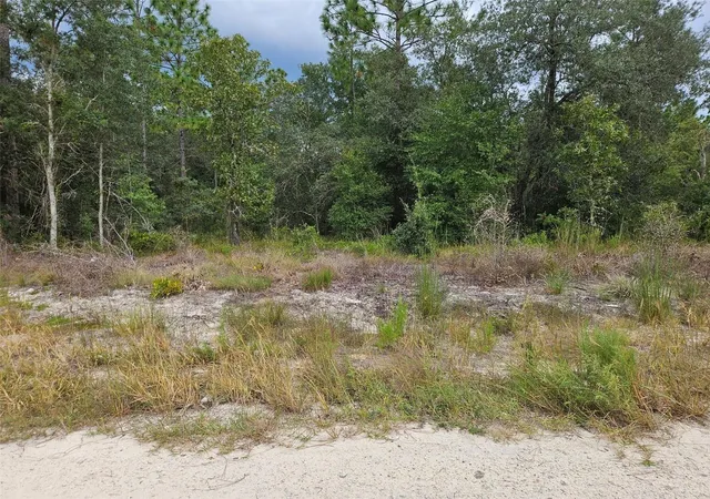 Photo 3 of Land for sale at 0000 Ne 67th Street, Bronson, FL 32621 | MLS# OM733046 | Listing updated on 2026-09-30