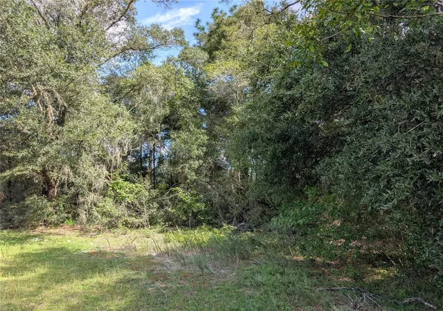 Land for sale at Tbd SW 121st Avenue, DUNNELLON, FL 34432 | MLS# OM733062