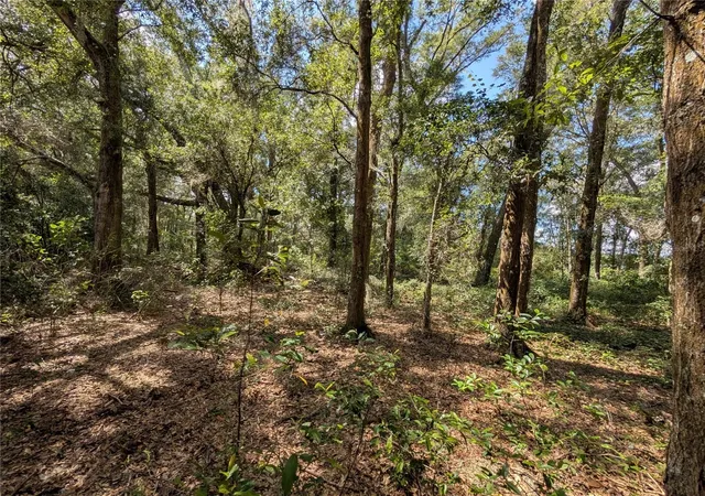 Photo 1 of Land for sale at Tbd SW 121st Avenue, Dunnellon, FL 34432 | MLS# OM733062 | Listing updated on 2026-10-05