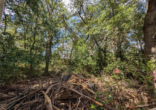 Photo 2 of Land for sale at Tbd SW 121st Avenue, Dunnellon, FL 34432 | MLS# OM733062 | Listing updated on 2026-10-05