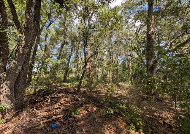 Photo 3 of Land for sale at Tbd SW 121st Avenue, Dunnellon, FL 34432 | MLS# OM733062 | Listing updated on 2026-10-05