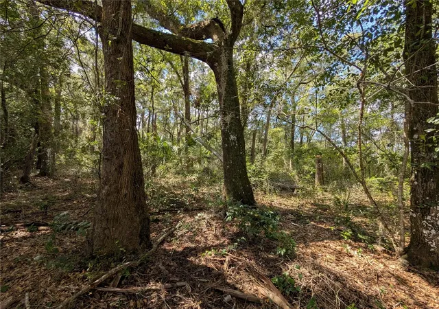Photo 4 of Land for sale at Tbd SW 121st Avenue, Dunnellon, FL 34432 | MLS# OM733062 | Listing updated on 2026-10-05