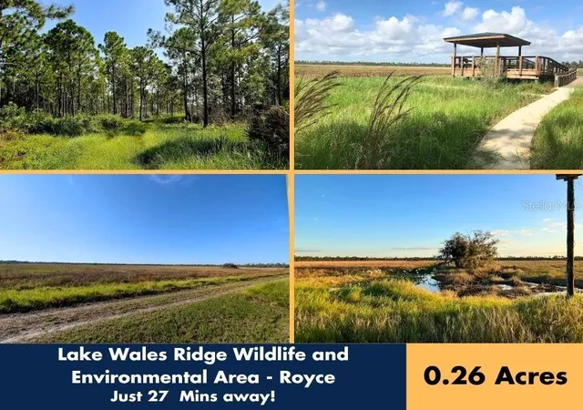Photo 4 of Land for sale at 733 Washington Blvd, Lake Placid, FL 33852 | MLS# CC858251 | Listing updated on 2026-10-08