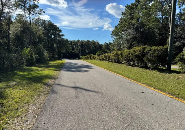 Photo 3 of Land for sale at 12434 S Canna Point, Floral City, FL 34436 | MLS# W7889906 | Listing updated on 2026-09-30