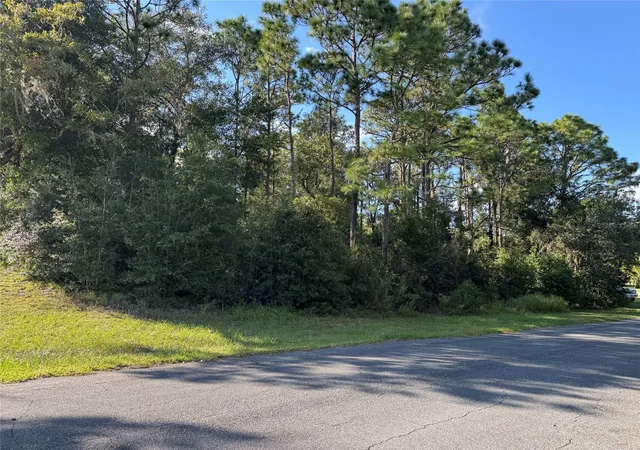 Photo 4 of Land for sale at 12434 S Canna Point, Floral City, FL 34436 | MLS# W7889906 | Listing updated on 2026-09-30