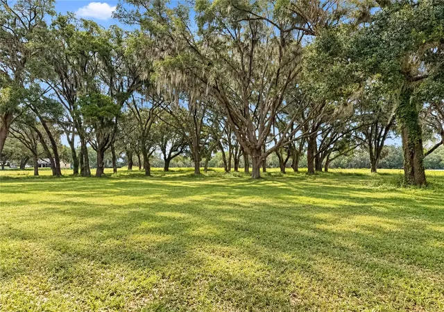 Photo 3 of Land for sale at Tbd SW 104 Street Rd, Ocala, FL 34476 | MLS# OM733072 | Listing updated on 2026-10-05