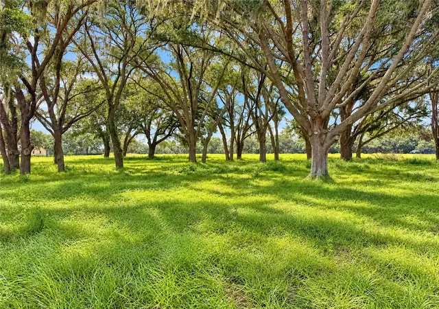 Photo 2 of Land for sale at Tbd Sw 104 Street Rd, Ocala, FL 34476 | MLS# OM733072 | Listing updated on 2026-10-05