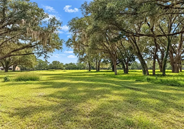 Photo 3 of Land for sale at Tbd Sw 104 Street Rd, Ocala, FL 34476 | MLS# OM733072 | Listing updated on 2026-10-05