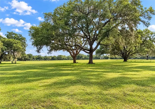 Photo 4 of Land for sale at Tbd SW 104 Street Rd, Ocala, FL 34476 | MLS# OM733072 | Listing updated on 2026-10-05