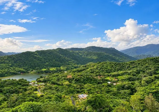 Photo 1 of Single family home for sale at Carr 612 Don Alonso Carr 612 Puerto Rico,00641, Utuado, PR 00641 | MLS# PR9124566 | Listing updated on 2026-10-20