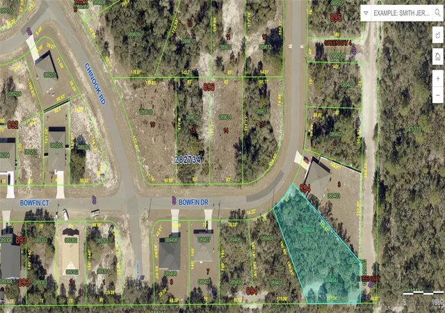 Photo 1 of Land for sale at 317 Bowfin Dr, Kissimmee, FL 34759 | MLS# OM733087 | Listing updated on 2026-10-07