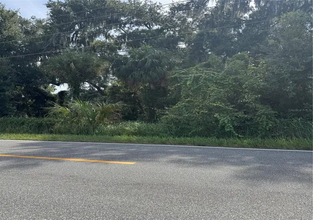 Land for sale at 0 Medulla Rd, LAKELAND, FL 33811 | MLS# L4965437