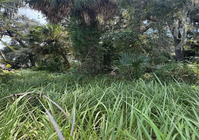 Photo 1 of Land for sale at 0 Medulla Rd, Lakeland, FL 33811 | MLS# L4965437 | Listing updated on 2026-10-03