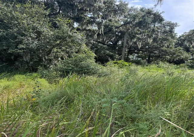 Photo 2 of Land for sale at 0 Medulla Rd, Lakeland, FL 33811 | MLS# L4965437 | Listing updated on 2026-10-03