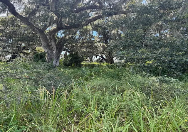 Photo 3 of Land for sale at 0 Medulla Rd, Lakeland, FL 33811 | MLS# L4965437 | Listing updated on 2026-10-03