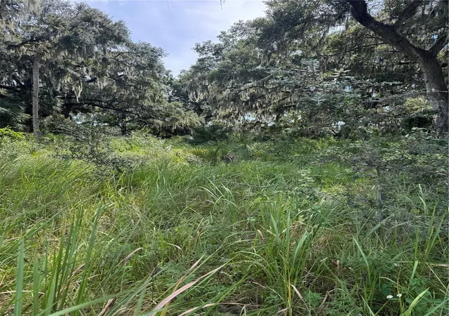 Photo 4 of Land for sale at 0 Medulla Rd, Lakeland, FL 33811 | MLS# L4965437 | Listing updated on 2026-10-03
