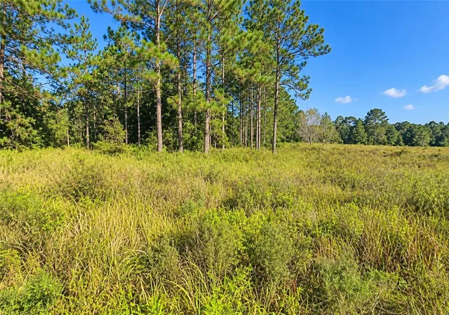 Land for sale at Southwest 26th Ln, OCALA, FL 34481 | MLS# O6445942