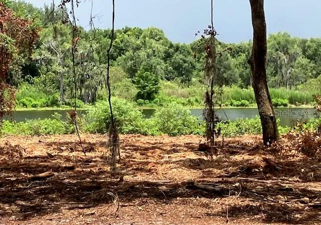 Photo 1 of Land for sale at Donna Lu Dr, Odessa, FL 33556 | MLS# TB8553316 | Listing updated on 2026-10-04