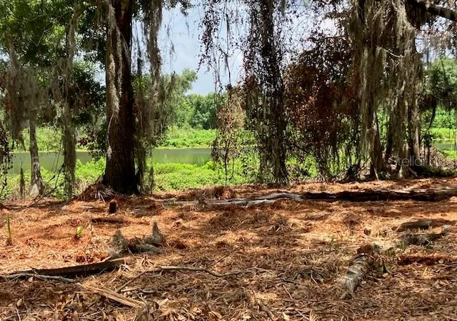 Photo 4 of Land for sale at Donna Lu Dr, Odessa, FL 33556 | MLS# TB8553316 | Listing updated on 2026-10-04
