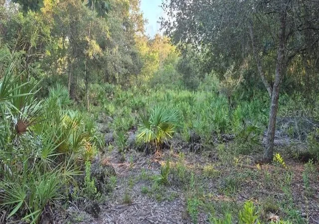 Photo 3 of Land for sale at Xx Osborne St, Orlando, FL 32833 | MLS# FC321781 | Listing updated on 2026-10-01
