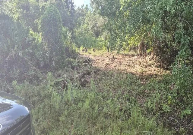 Photo 4 of Land for sale at Xx Osborne St, Orlando, FL 32833 | MLS# FC321781 | Listing updated on 2026-10-01