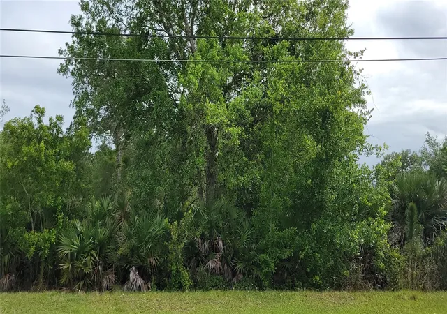 Land for sale at Ralston St, ORLANDO, FL 32833 | MLS# OM733125