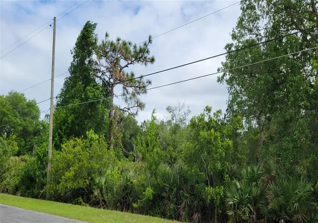 Photo 3 of Land for sale at Ralston St, Orlando, FL 32833 | MLS# OM733125 | Listing updated on 2026-09-30