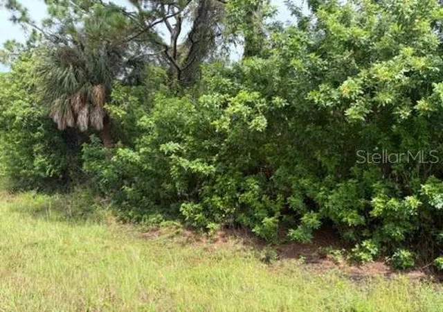 Photo 1 of Land for sale at 1317 Grendon St, Port Charlotte, FL 33953 | MLS# TB8553416 | Listing updated on 2026-09-30
