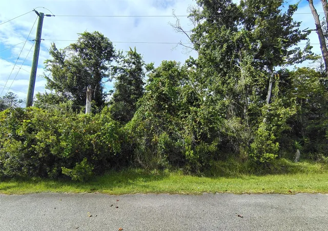 Photo 1 of Land for sale at 1 Kalmar Pl, Palm Coast, FL 32164 | MLS# FC321787 | Listing updated on 2026-09-30