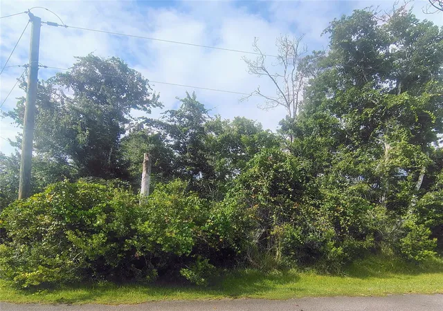 Photo 3 of Land for sale at 1 Kalmar Pl, Palm Coast, FL 32164 | MLS# FC321787 | Listing updated on 2026-09-30