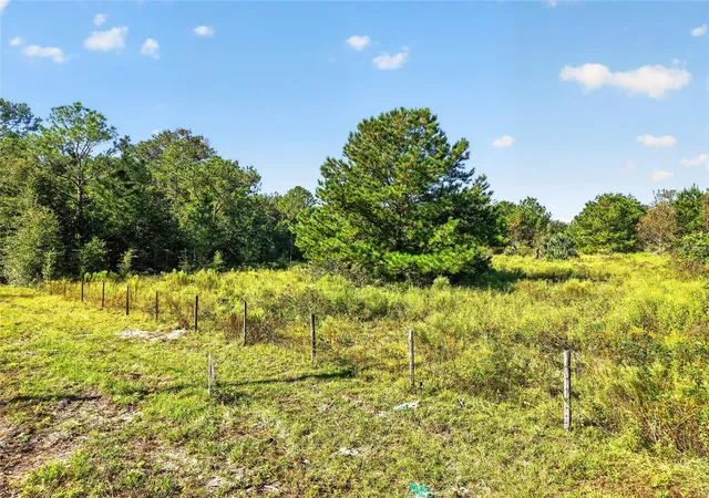 Photo 4 of Land for sale at 7700 SW 77th Street, Gainesville, FL 32608 | MLS# GC543874 | Listing updated on 2026-10-05