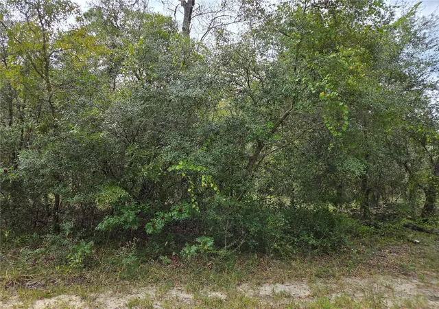Photo 3 of Land for sale at 0000 SW S Water Ct, Dunnellon, FL 34431 | MLS# OM733141 | Listing updated on 2026-10-04
