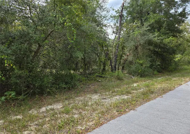 Photo 3 of Land for sale at 0000 Sw S Water Ct, Dunnellon, FL 34431 | MLS# OM733141 | Listing updated on 2026-10-04