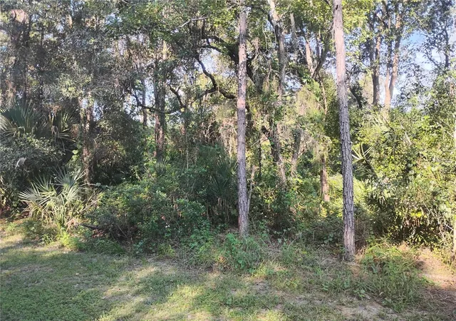 Photo 3 of Land for sale at Jessie Ave, Deland, FL 32720 | MLS# OM733144 | Listing updated on 2026-10-02