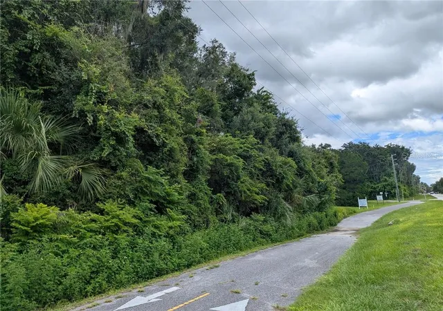 Photo 3 of Land for sale at 0 E C 48, Bushnell, FL 33513 | MLS# CC858283 | Listing updated on 2026-10-08