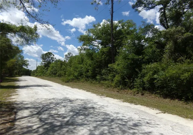 Land for sale at Knoxville Dr, WEBSTER, FL 33597 | MLS# S5158571