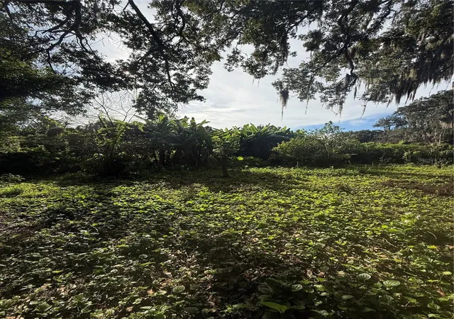Photo 2 of Land for sale at Willow Ave, Sanford, FL 32773 | MLS# V4951590 | Listing updated on 2026-10-01