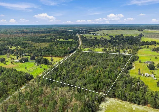 Photo 3 of Land for sale at Tbd SE Cr 337, Dunnellon, FL 34431 | MLS# OM733165 | Listing updated on 2026-10-09