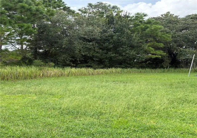 Photo 2 of Land for sale at 627 Linnet Ct, Kissimmee, FL 34759 | MLS# O6446173 | Listing updated on 2026-10-01