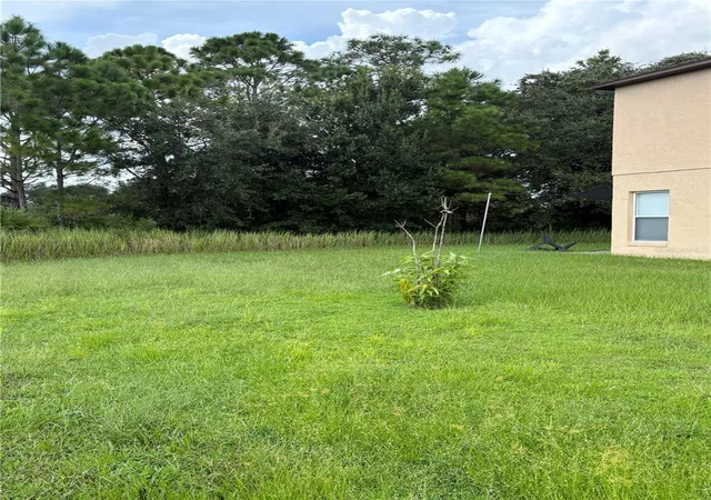 Photo 3 of Land for sale at 627 Linnet Ct, Kissimmee, FL 34759 | MLS# O6446173 | Listing updated on 2026-10-01