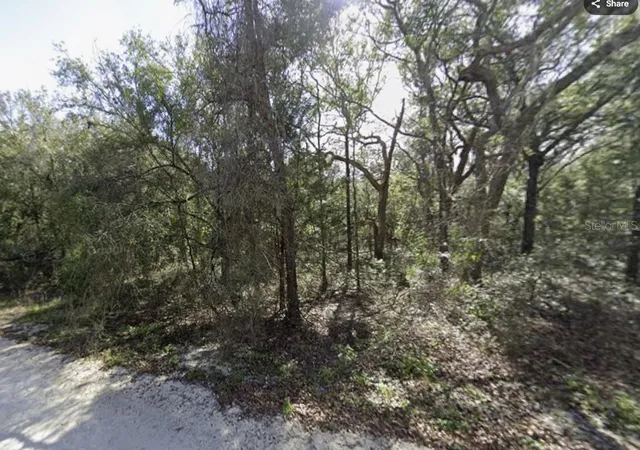 Land for sale at 34086 Arrowrock St, WEBSTER, FL 33597 | MLS# TB8553614