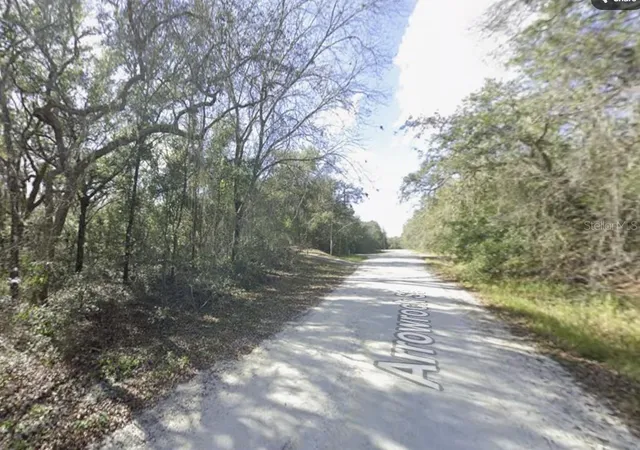 Photo 2 of Land for sale at 34086 Arrowrock St, Webster, FL 33597 | MLS# TB8553614 | Listing updated on 2026-10-01